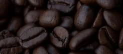 Kopi